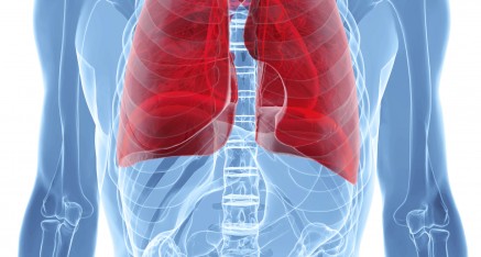 Lungs Fungal Infections
